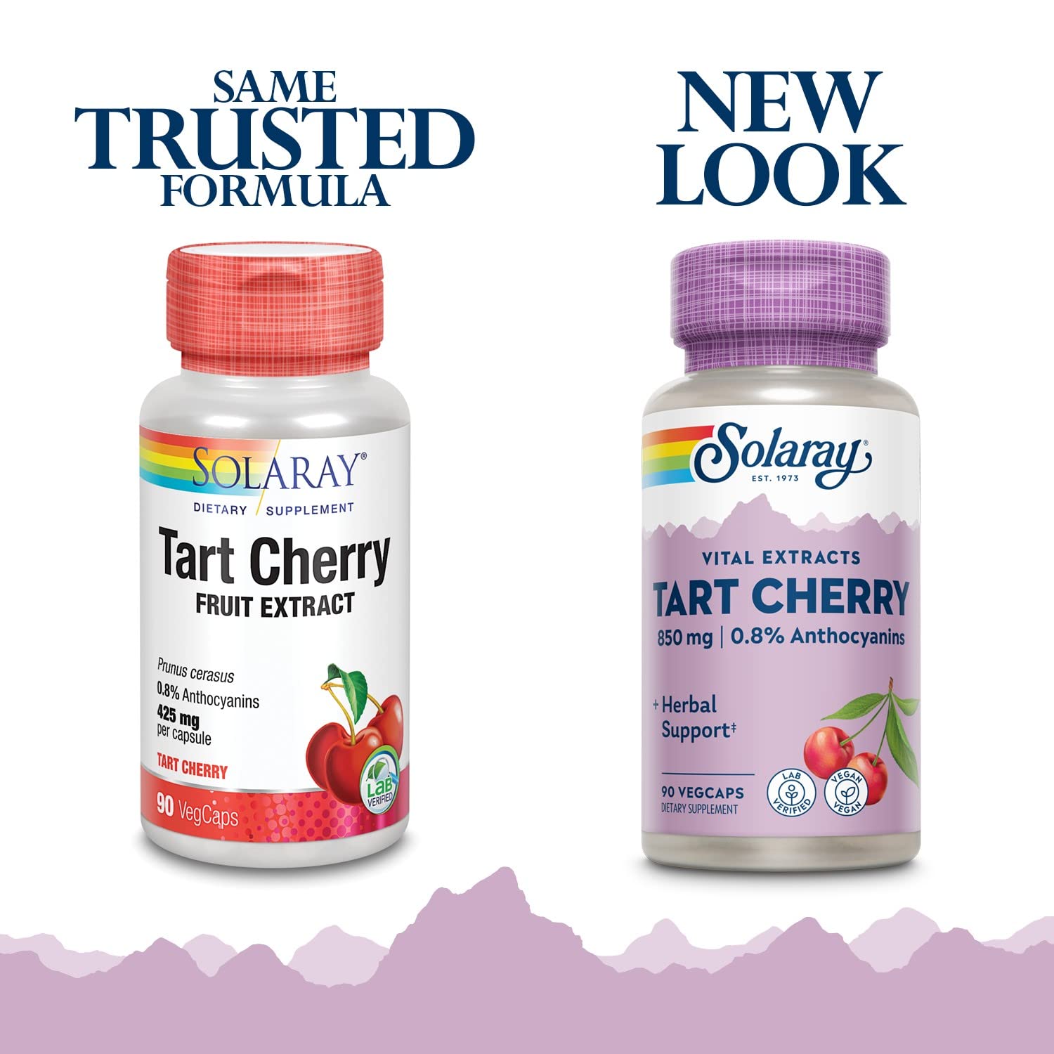 SOLARAY Tart Cherry Fruit Extract 425mg | Supports Healthy Uric Acid Levels 90 VegCaps